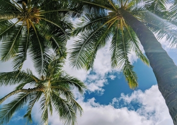 周りの方に話しづらいお悩みやお困りごとでもご安心してお話ください